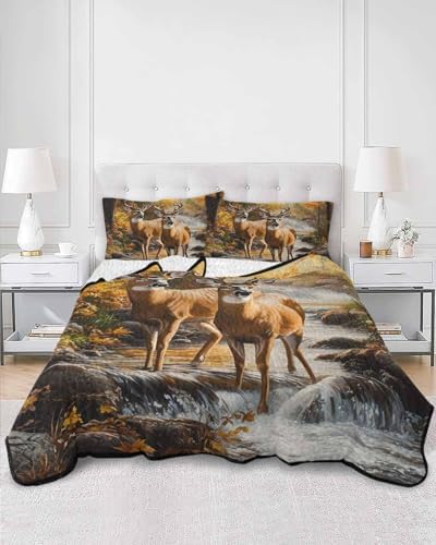 TocaHome Summer Quilt Twin XL 68x98 Inch Set with 2 Pillowcases