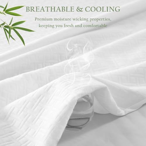 100 Waterproof Queen Mattress Protector with Bamboo Rayon