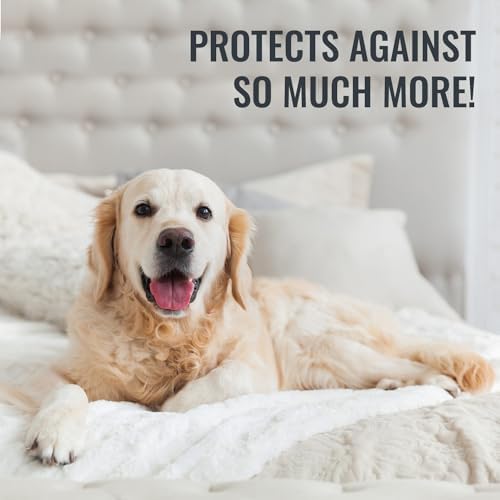 DMI Waterproof Mattress Protector for Bedwetting