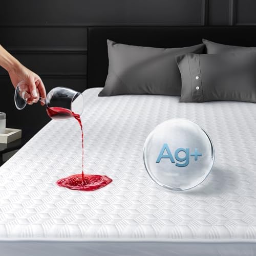 Novted Premium Waterproof Queen Mattress Protector with Silver-infused Bamboo Rayon 1