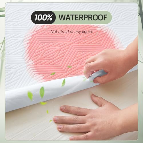 Secgo Premium Jacquard Waterproof Queen Mattress Protector