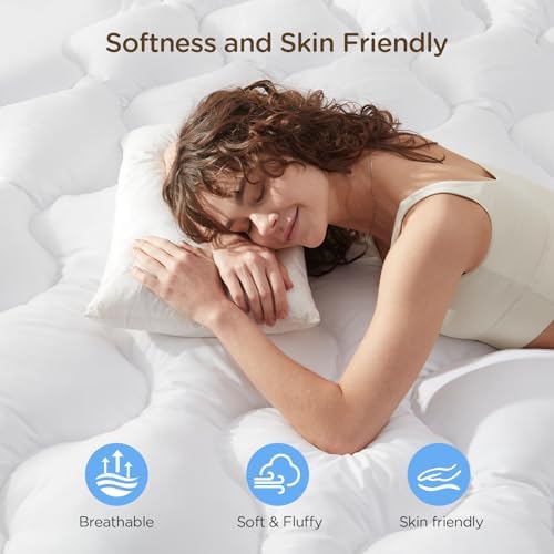 Decroom 3 Inch Queen Mattress Topper for Back Pain Relief