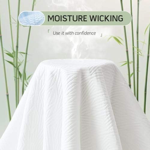 Secgo Premium Jacquard Waterproof Queen Mattress Protector