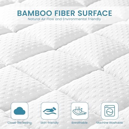 AprLeaf 3 Inch Dual Layer Mattress Topper Queen Size