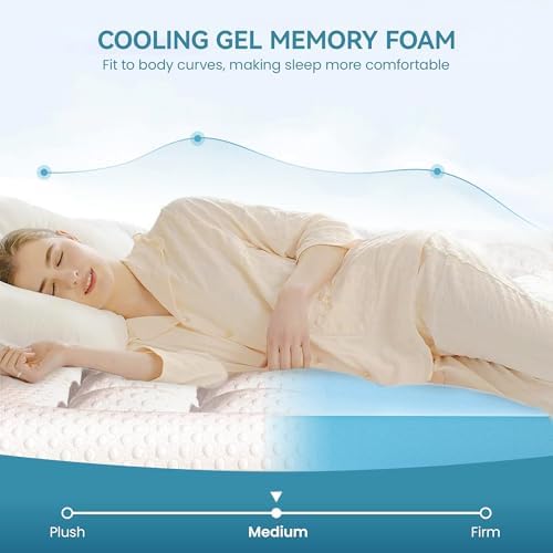 AprLeaf 3 Inch Dual Layer Mattress Topper Queen Size