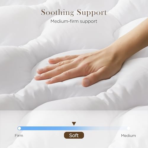 Decroom 3 Inch Queen Mattress Topper for Back Pain Relief
