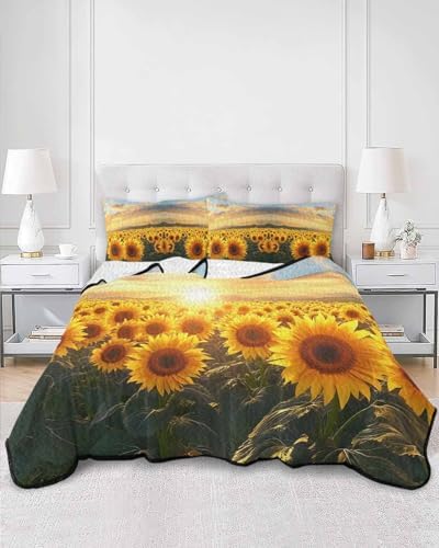 TocaHome Summer Quilt Twin XL 68x98 Inch Set with Pillowcases