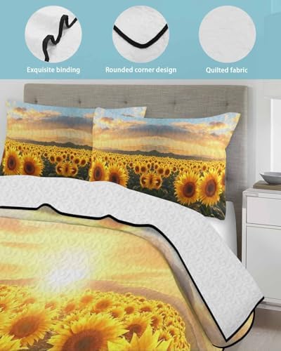 TocaHome Summer Quilt Twin XL 68x98 Inch Set with Pillowcases