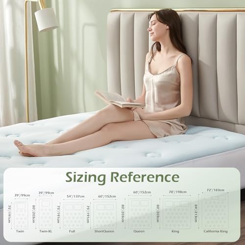 Hansleep Queen Mattress Toppers for Back Pain Relief