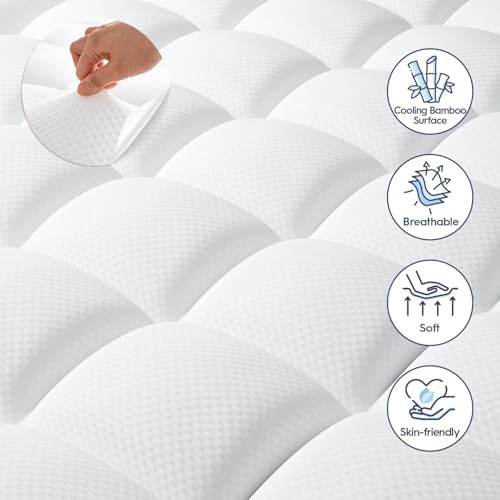 Elemuse 3 Inch Dual Layer Mattress Topper for Back Pain Relief 1
