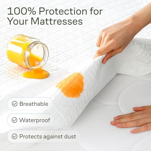 Bamboo Viscose Mattress Protector - Waterproof Queen Size with 360 Protection