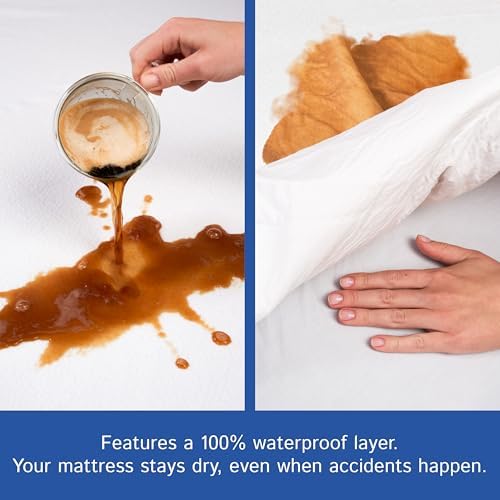 Full Size Mattress Encasement Waterproof Zippered Bedbug Protector