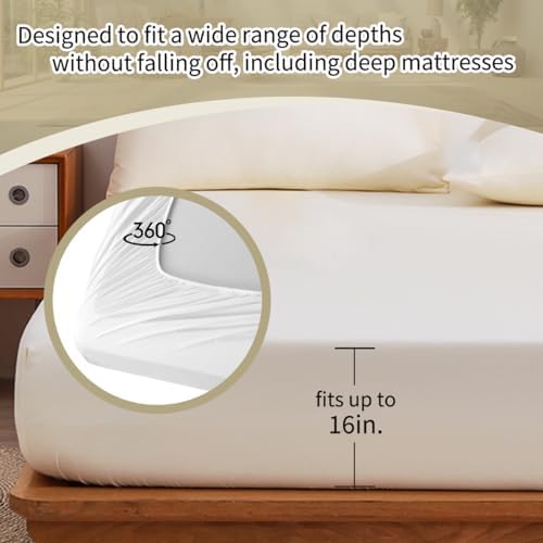 MASTERMARK Dollar Coin Pattern Cal King 4 Piece Bed in a Bag Set