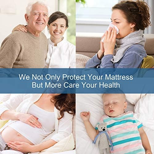 SPRINGSPIRIT Queen Mattress Protector Waterproof Quilted