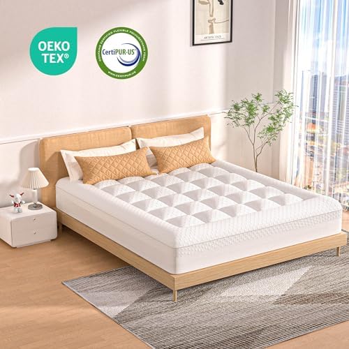 AprLeaf 3 Inch Dual Layer Mattress Topper Queen Size
