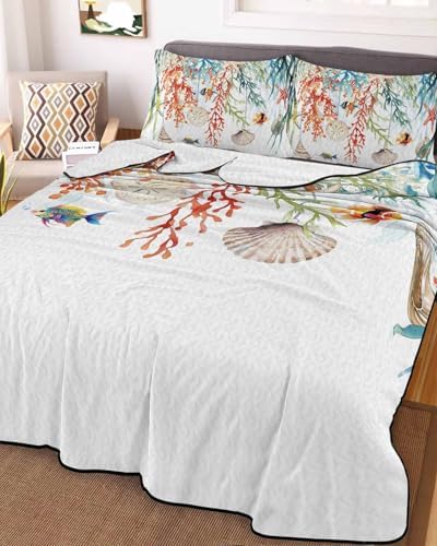 Stongaro Twin XL Quilt Comforter Set 3 Pieces 1