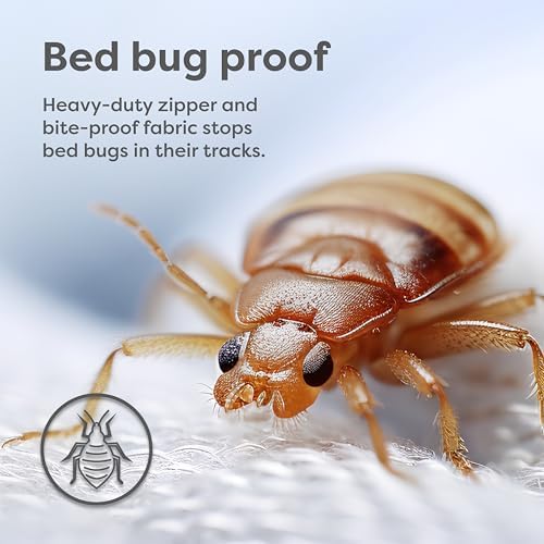 HOSPITOLOGY PRODUCTS Box Spring Encasement - Queen 60 x 80