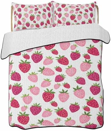 Stongaro Twin XL Quilt Set 3 Piece Lightweight All-Season Comforter