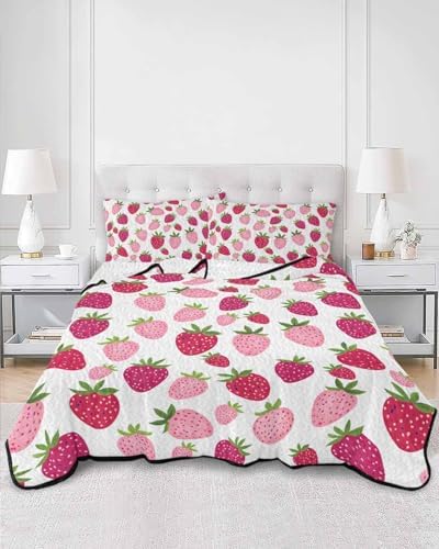 Stongaro Twin XL Quilt Set 3 Piece Lightweight All-Season Comforter