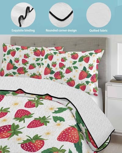 Stongaro Twin XL Strawberry Comforter Set 3 Piece