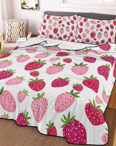 Stongaro Twin XL Quilt Set 3 Piece Lightweight All-Season Comforter