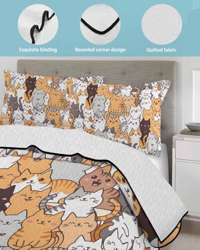 Stongaro Quilt Twin XL Cartoon Cat Comforter Set 3 Pieces