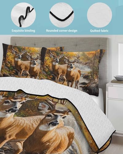 TocaHome Summer Quilt Twin XL 68x98 Inch Set with 2 Pillowcases