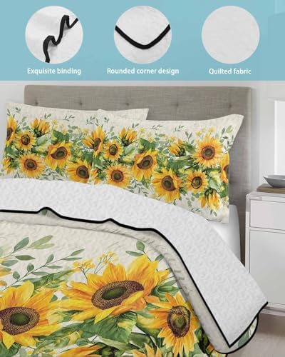 Stongaro Twin XL Quilt Comforter Set 3 Piece