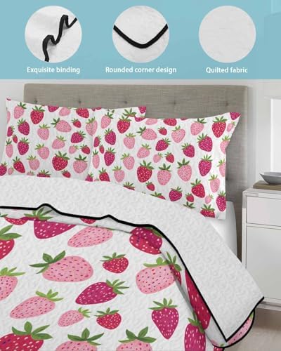 Stongaro Twin XL Quilt Set 3 Piece Lightweight All-Season Comforter