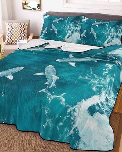 Stongaro Teal Green Twin XL Comforter Set 3 Piece