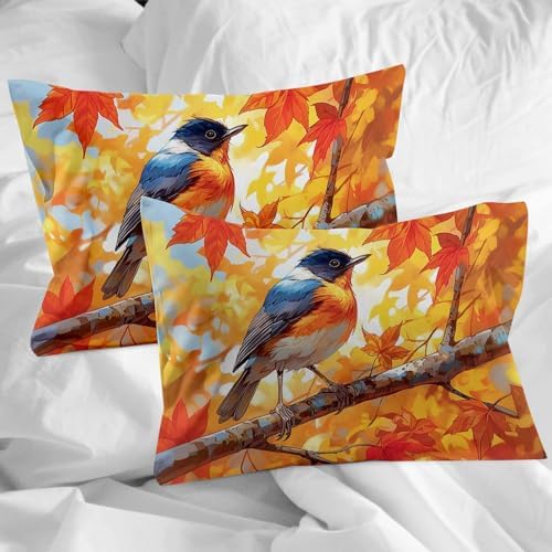 LooPoP Fall Bird Duvet Cover Set 3 PCS California King