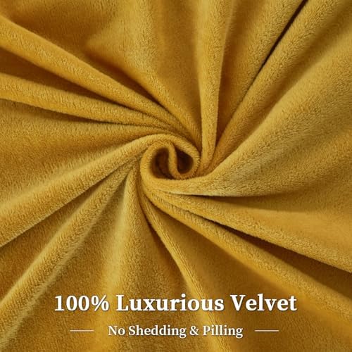 PHF Velvet Duvet Cover Set 3pcs King Size with 8 Ties