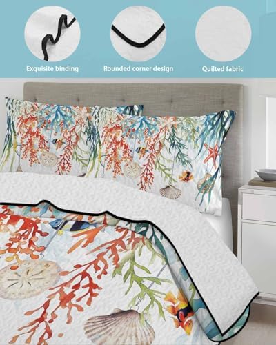 Stongaro Twin XL Quilt Comforter Set 3 Pieces 1
