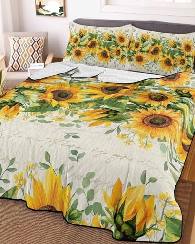 Stongaro Twin XL Quilt Comforter Set 3 Piece