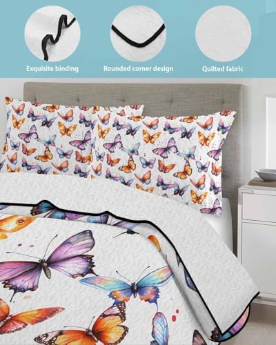 TocaHome Summer Quilt Twin XL 68x98 Inch Comforter Set with 2 Pillowcases